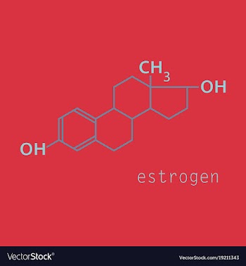 Estrogen molecule structure in style scientific vector image