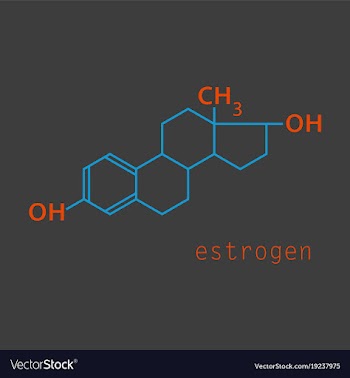 Estrogen molecule structure in style scientific vector image