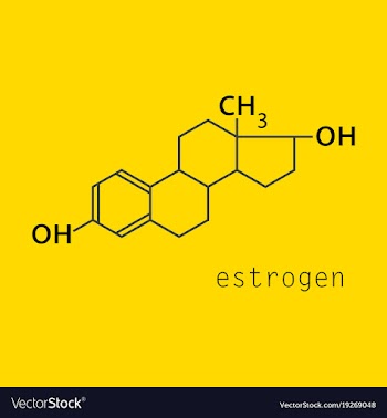 Estrogen molecule structure in style scientific vector image