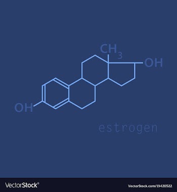 Estrogen molecule structure in style scientific vector image