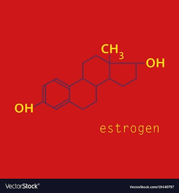 Estrogen molecule structure in style scientific vector image