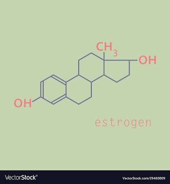 Estrogen molecule structure in style scientific vector image