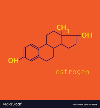 Estrogen molecule structure in style scientific vector image