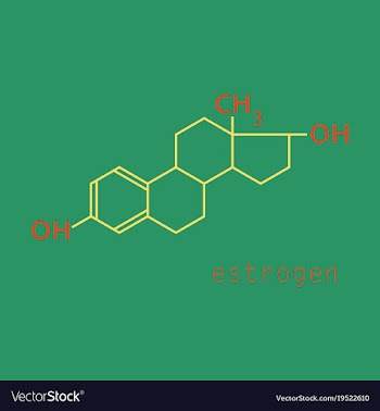Estrogen molecule structure in style scientific vector image