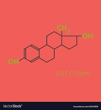 Estrogen molecule structure in style scientific vector image