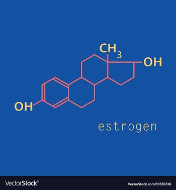 Estrogen molecule structure in style scientific vector image