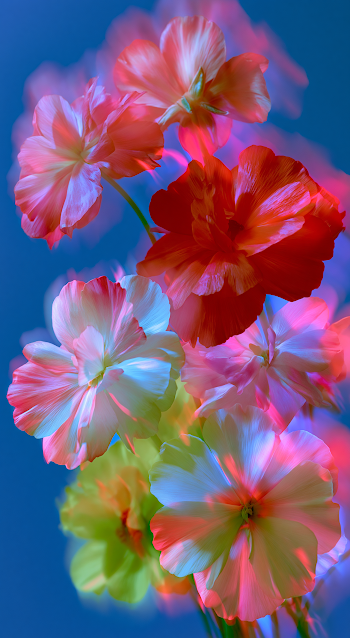 Ethereal Abstract Floral Composition