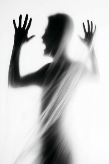 Ethereal Silhouette Behind a Translucent Veil
