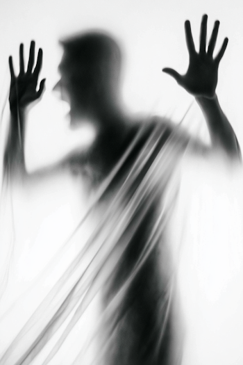 Ethereal Silhouette Behind Translucent Veil