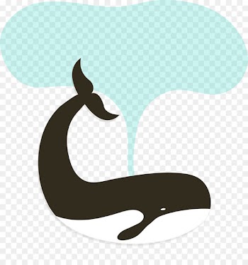 Etsy Killer whale Handicraft - Shark sprinkler 