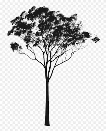 Eucalyptus Gum Tree Clipart - Gum Tree Silhouette