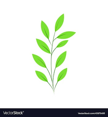 eucalyptus hand draw tropical plant