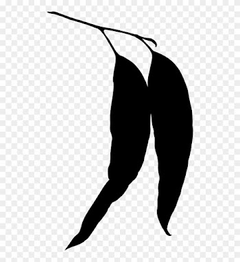 Eucalyptus Leaves Silhouette Clipart - Eucalyptus Leaf Silhouette