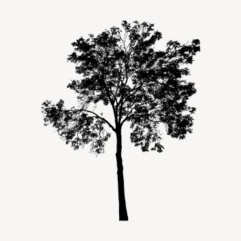 Eucalyptus tree silhouette clipart, botanical | Free Photo - rawpixel