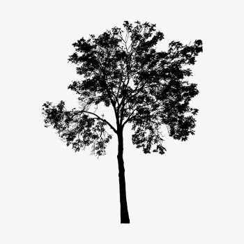 Eucalyptus tree silhouette clipart, botanical | Free Vector - rawpixel