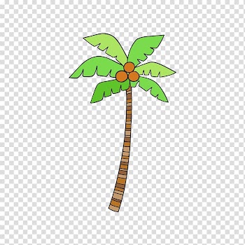 Euclidean Coconut, coconut tree transparent background PNG clipart