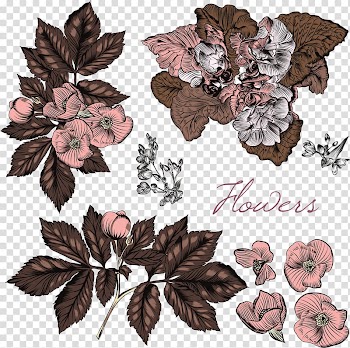 Euclidean Flower , vintage flowers transparent background PNG clipart