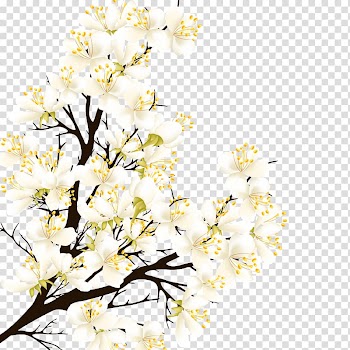 Euclidean Flower, white pear transparent background PNG clipart