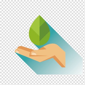 Euclidean Illustration, Holding the leaves from time to time transparent background PNG clipart
