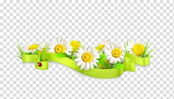Euclidean Illustration, White chrysanthemum transparent background PNG clipart