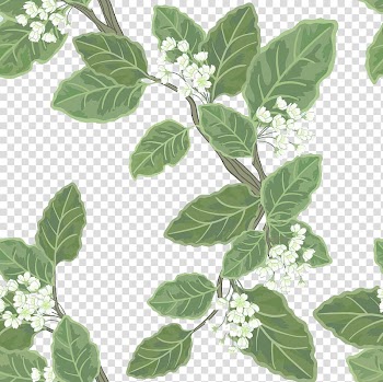 Euclidean Motif , Branches on the flowers transparent background PNG clipart