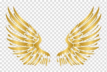 Euclidean Nail Element, European-style luxury Golden Wings elements, beige feather wings transparent background PNG clipart