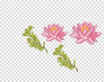 Euclidean Nelumbo nucifera , color lotus green leaf decoration pattern transparent background PNG clipart