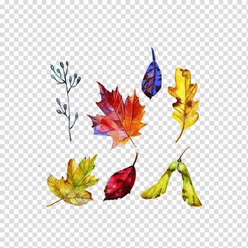 Euclidean Painting , Plant leaves painted ribbons transparent background PNG clipart