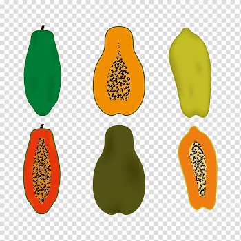 Euclidean Papaya, cut papaya transparent background PNG clipart