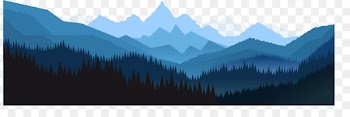 Euclidean vector Angle - Forest background vector night 