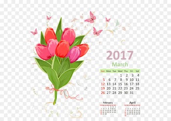 Euclidean vector Clip art - calendar 