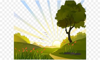 Euclidean vector Clip art - Sunrise in the field vector illustration 