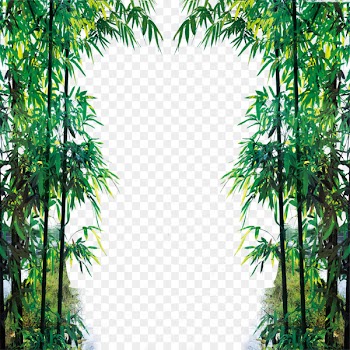 Euclidean vector Download Icon - Bamboo Fam 