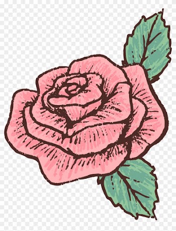 Euclidean Vector Drawing Rose - Drawn Roses