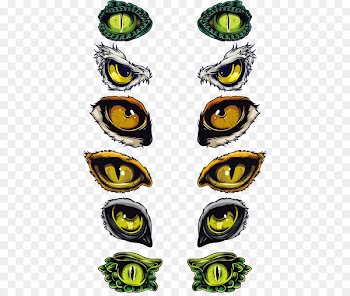 Euclidean vector Eye Symbol - Animal eyes vector material 