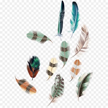 Euclidean vector Feather Egg - Vector feather decoration 
