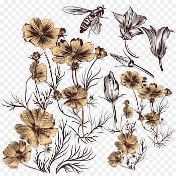 Euclidean vector Flower Drawing Sketch - Sketch Flower Bee Download 
