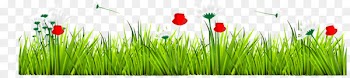 Euclidean vector GRASS GIS Herbaceous plant - Vector grass 