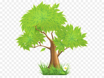 Euclidean vector Green Illustration - Green Painted Tree PNG Clipart 