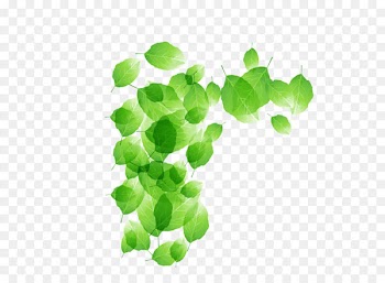 Euclidean vector Green - leaf 