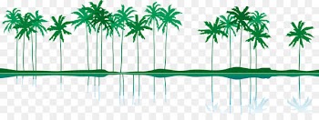 Euclidean vector Illustration - Summer coconut tree island vector 