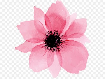 Euclidean vector - Pink lovely watercolor flowers 