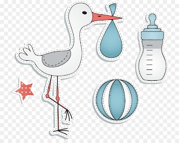 Euclidean vector - PNG bottle baby toys vector material 