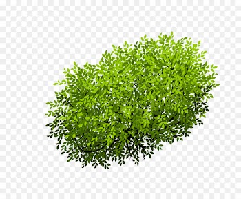 Euclidean vector Shrub Tree - Bush 