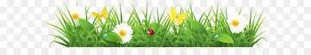 Euclidean vector Spring Pixabay - Grass Ground with Flowers Clipart Picture 