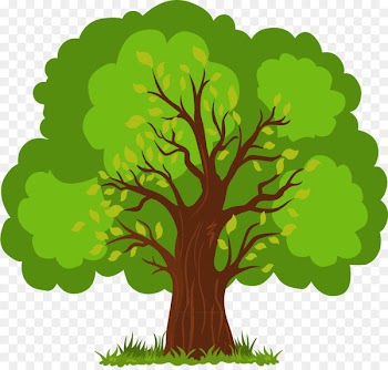 Euclidean vector Tree - Vector Hand-painted lush tree 