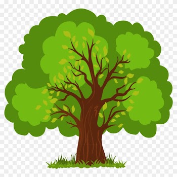 Euclidean Vector Tree Vector Hand Painted Lush Tree - Tree Vector Png Illustration