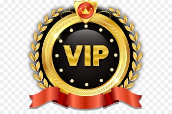 Euclidean vector Very important person Logo - VIP guest Badge 