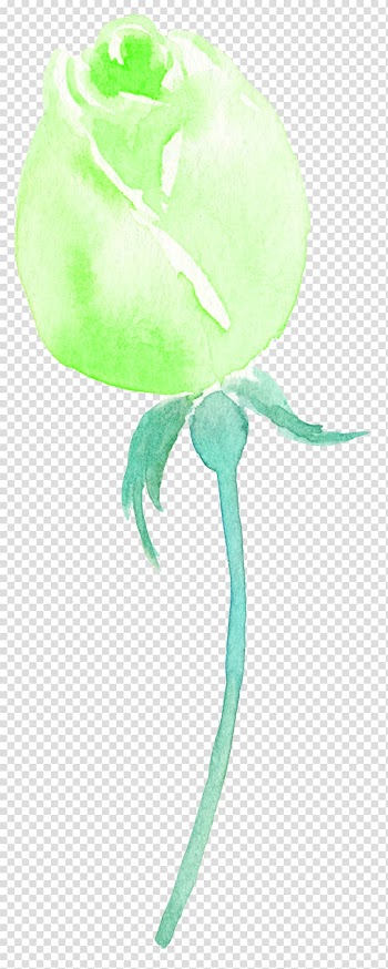 Euclidean , Watercolor Flowers Flowers transparent background PNG clipart