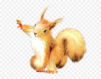 eurasian red squirrel squirrel tail animal figure wildlife